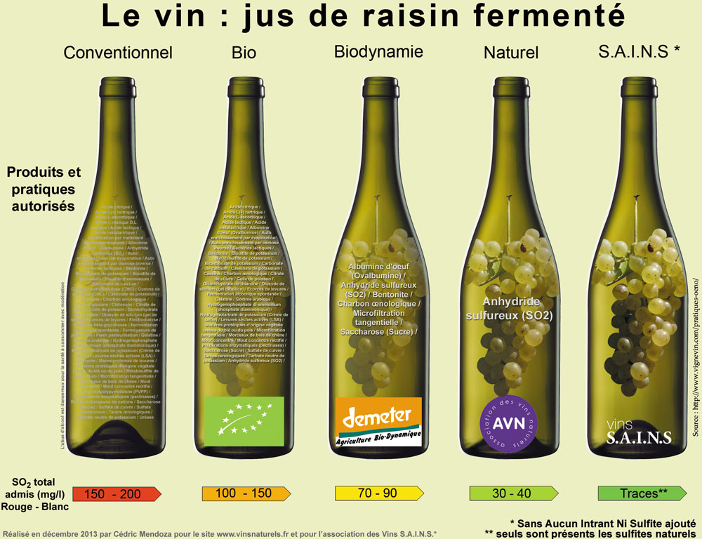vins_sains_2_0 vin nature en vendée